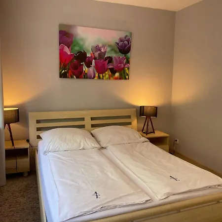 Wolin-travel Dom Przy Parku Apartmán *