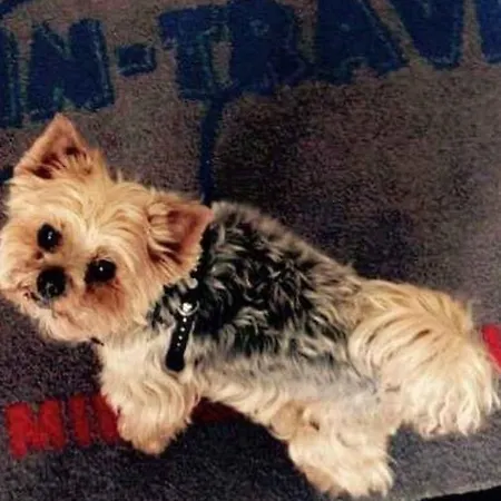 Apartmán Wolin-travel Dom Przy Parku